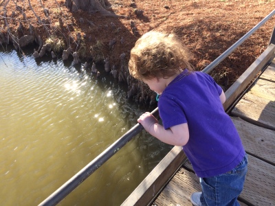 Discovering that bridges cover water.